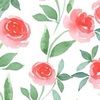 jmrose0315
